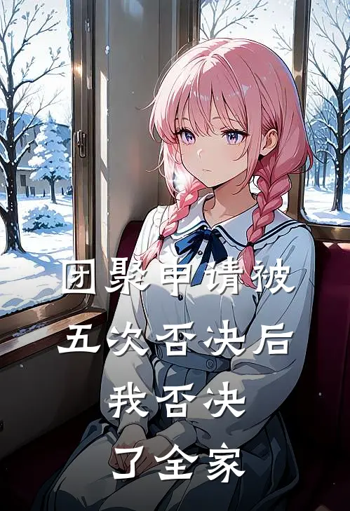 团聚申请被五次否决后，我否决了全家