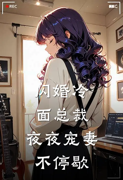 闪婚冷面总裁，夜夜宠妻不停歇