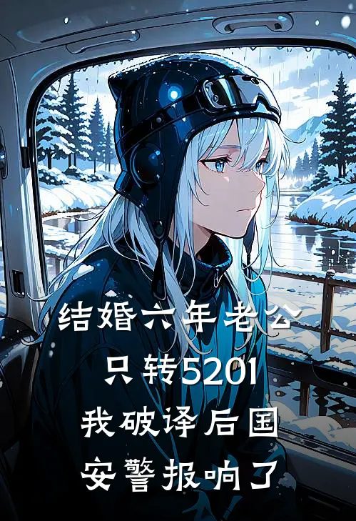 结婚六年老公只转5201，我破译后国安警报响了