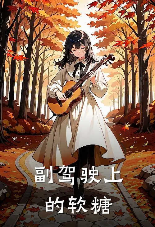 副驾驶上的软糖
