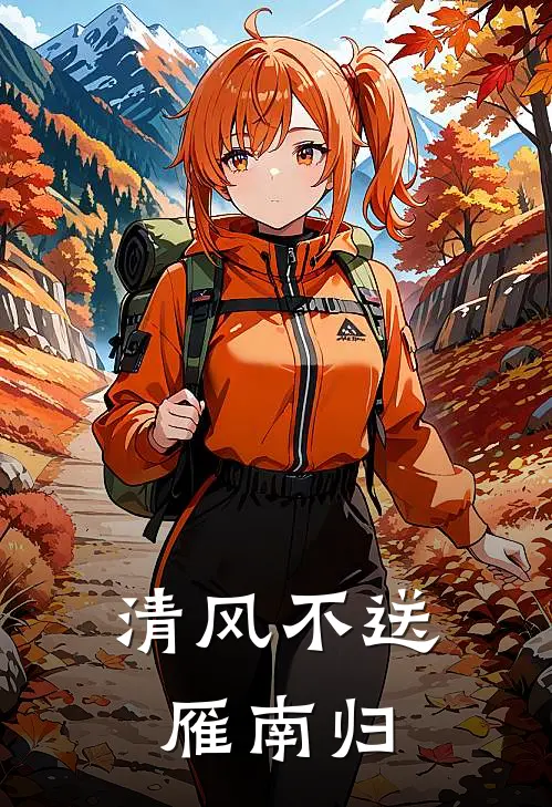 清风不送雁南归