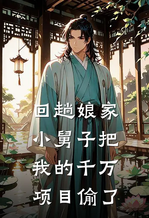 回趟娘家，小舅子把我的千万项目偷了