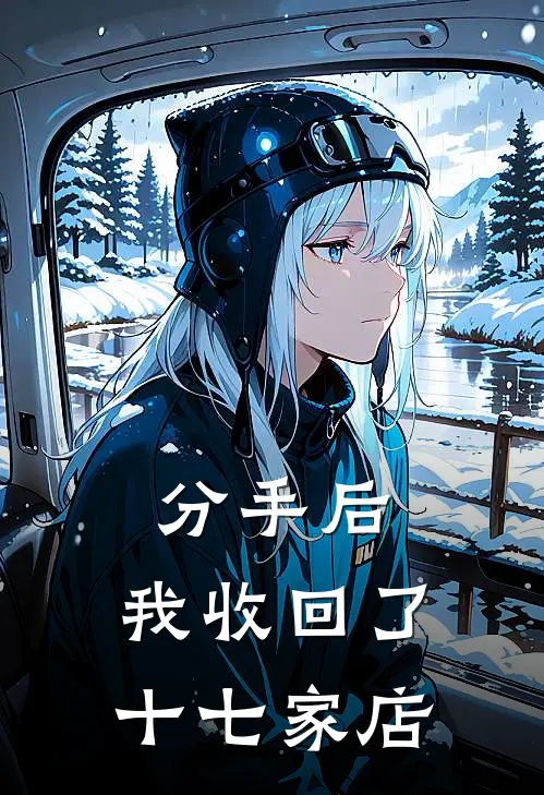 分手后，我收回了十七家店