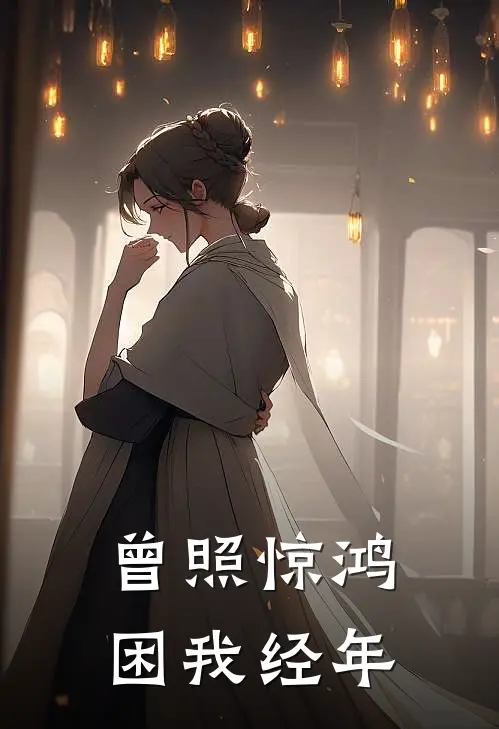 曾照惊鸿，困我经年