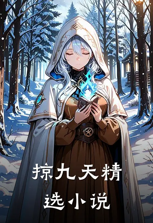 掠九天精选小说