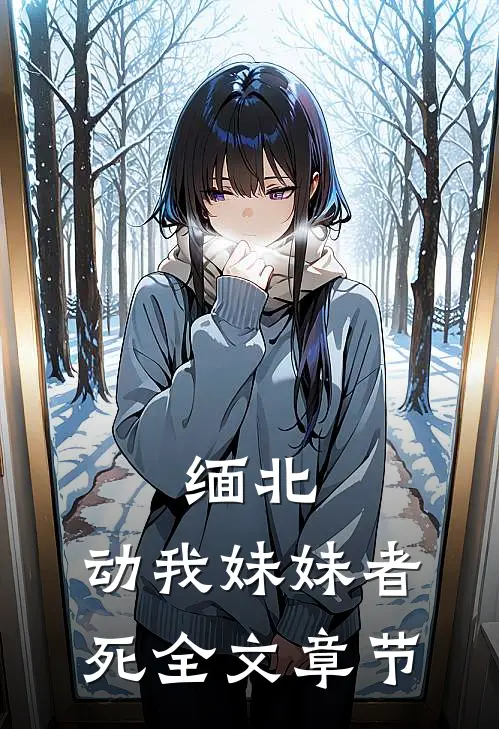 缅北：动我妹妹者死全文章节