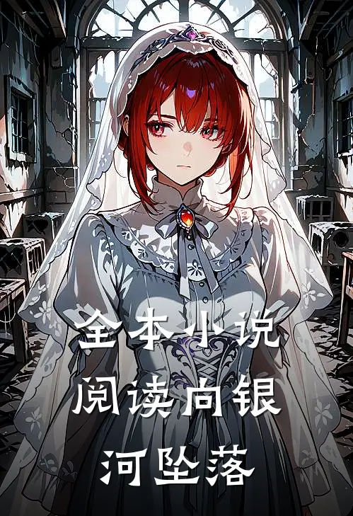 全本小说阅读向银河坠落