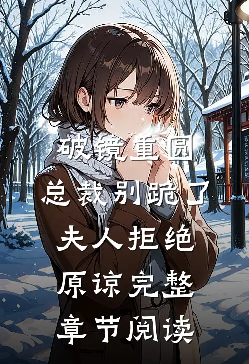 破镜重圆：总裁别跪了，夫人拒绝原谅完整章节阅读