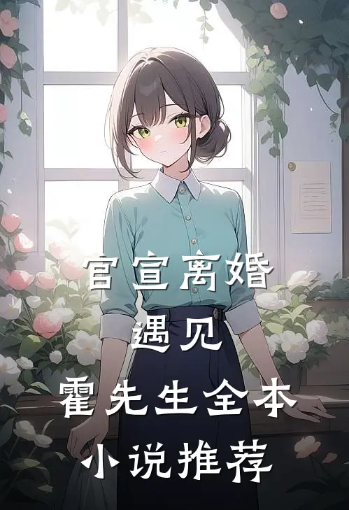 官宣离婚：遇见，霍先生全本小说推荐