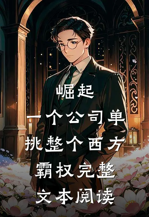 崛起：一个公司单挑整个西方霸权完整文本阅读
