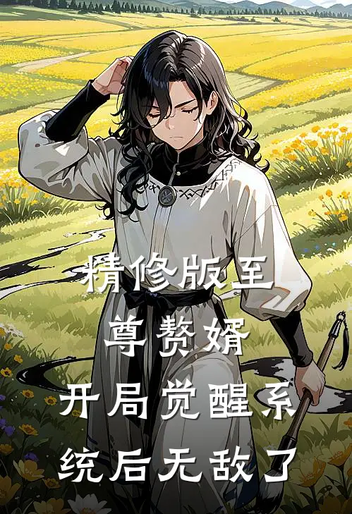 精修版至尊赘婿：开局觉醒系统后无敌了
