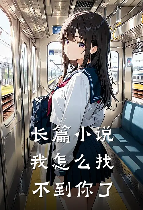 长篇小说我怎么找不到你了