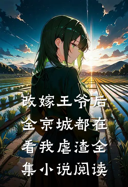 改嫁王爷后，全京城都在看我虐渣全集小说阅读