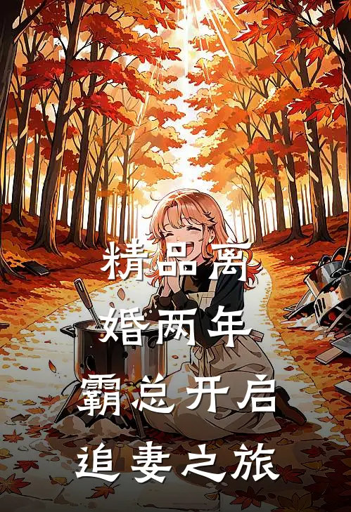 精品离婚两年，霸总开启追妻之旅