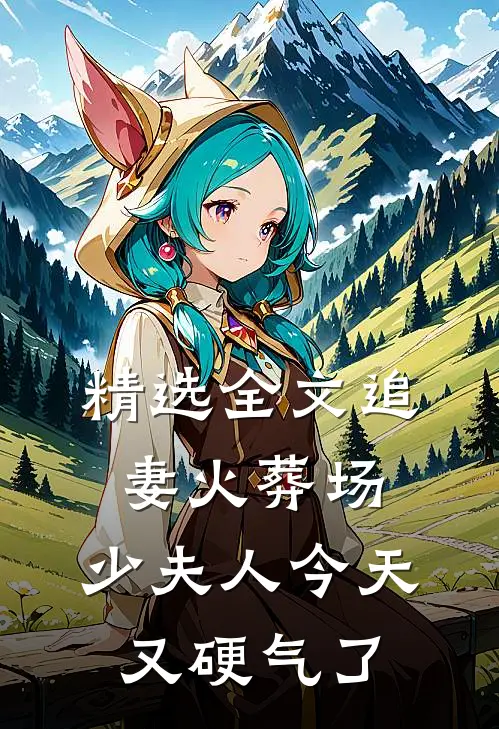 精选全文追妻火葬场：少夫人今天又硬气了