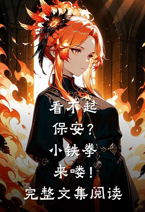 看不起保安？小铁拳来喽！完整文集阅读