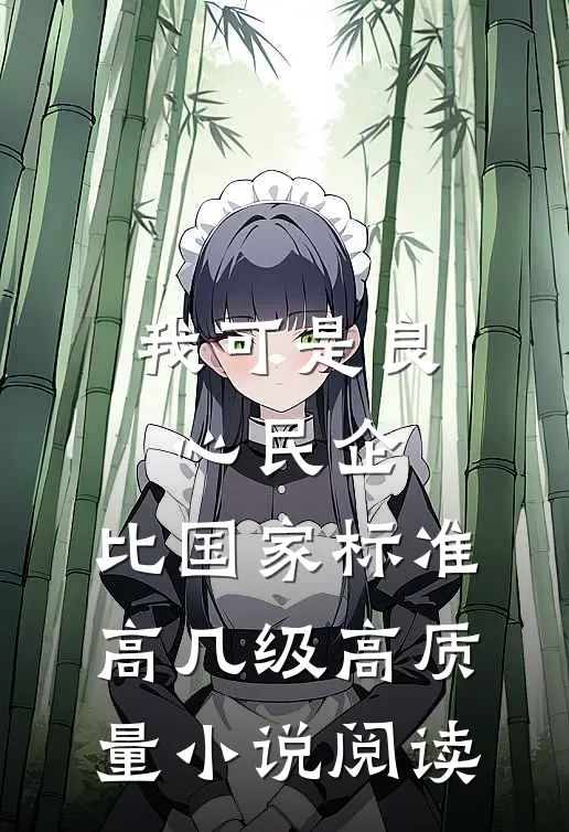 我可是良心民企，比国家标准高几级高质量小说阅读