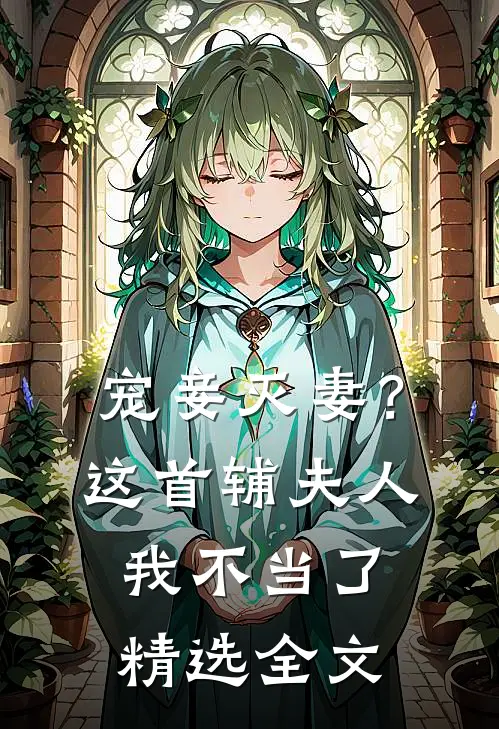 宠妾灭妻？这首辅夫人，我不当了精选全文
