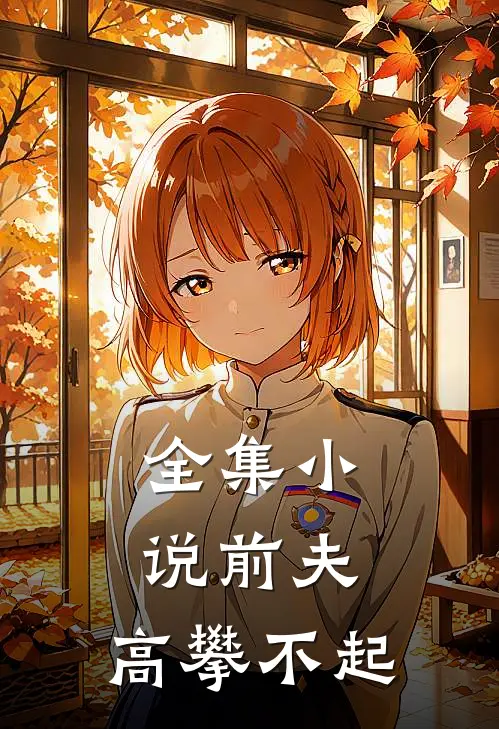 全集小说前夫，高攀不起