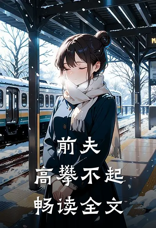 前夫 ，高攀不起畅读全文