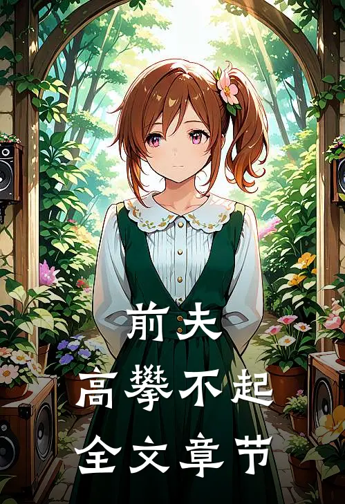 前夫，高攀不起全文章节