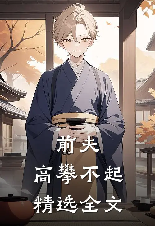 前夫，高攀不起精选全文