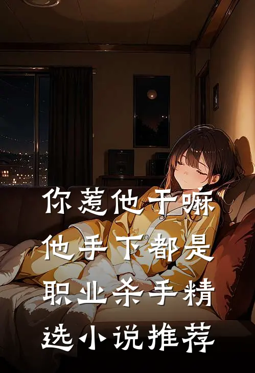 你惹他干嘛，他手下都是职业杀手精选小说推荐