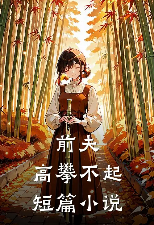 前夫 ，高攀不起短篇小说