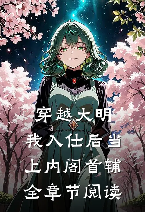 穿越大明，我入仕后当上内阁首辅全章节阅读