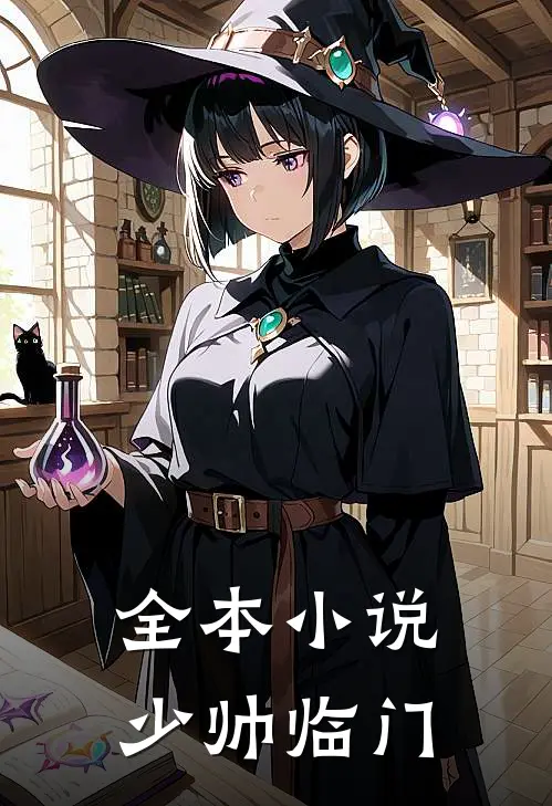 全本小说少帅临门