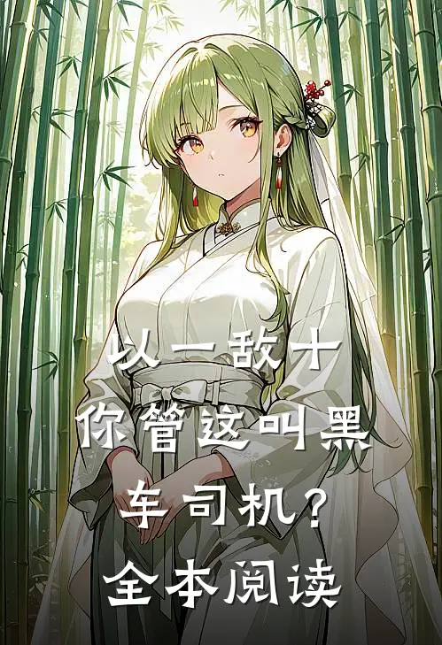 以一敌十，你管这叫黑车司机？全本阅读