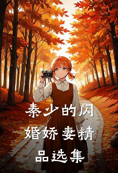 秦少的闪婚娇妻精品选集