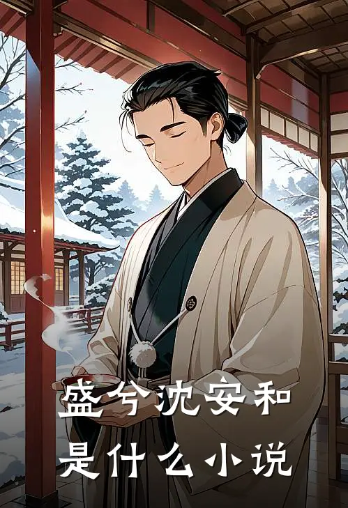 盛兮沈安和是什么小说