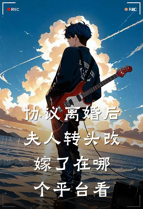 协议离婚后夫人转头改嫁了在哪个平台看