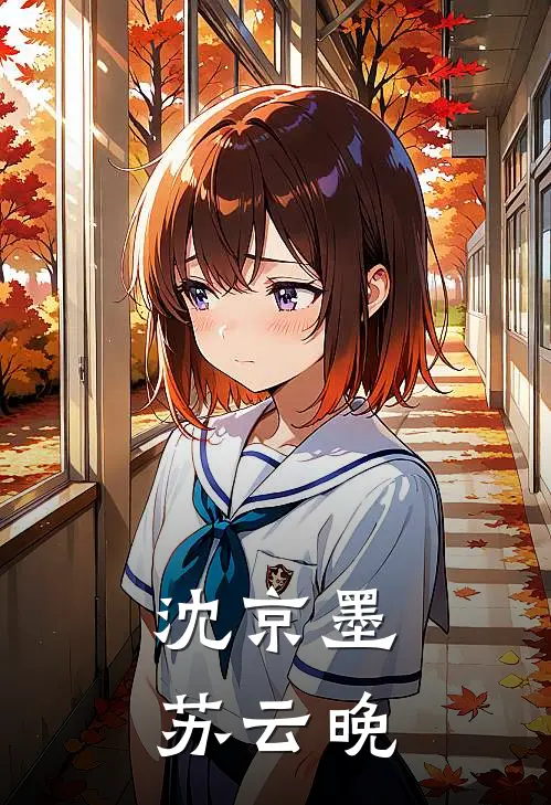 沈京墨苏云晚