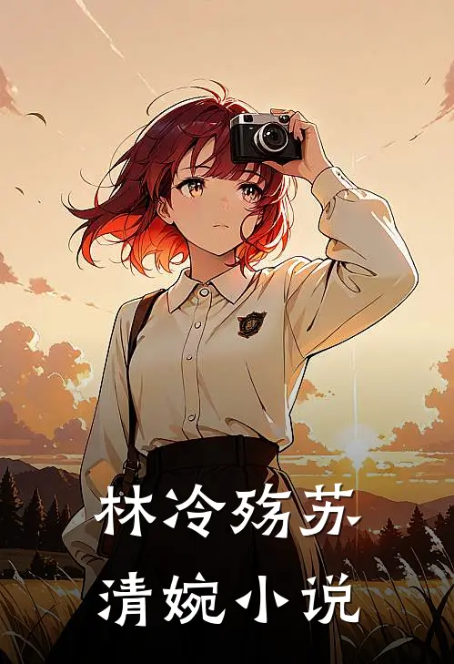 林冷殇苏清婉小说