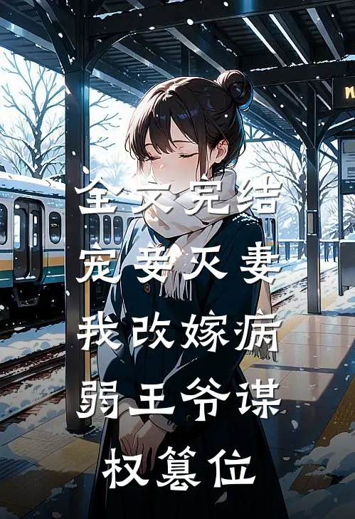 全文完结宠妾灭妻，我改嫁病弱王爷谋权篡位