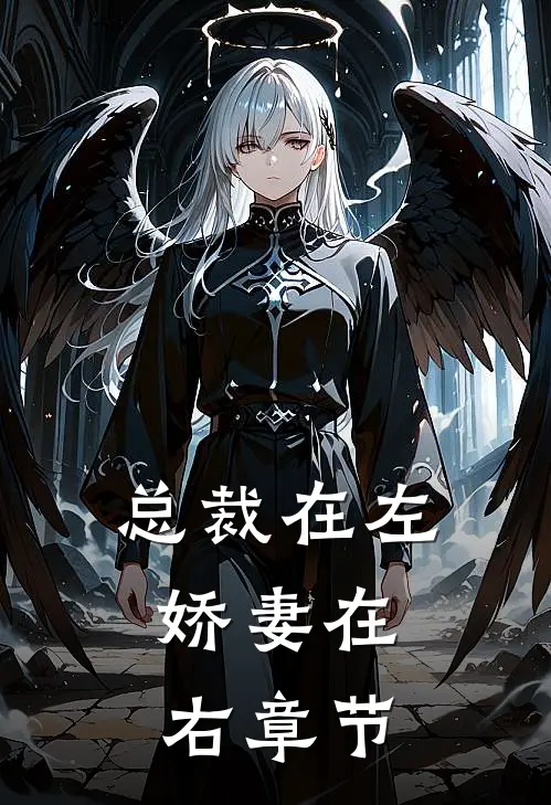 总裁在左，娇妻在右章节
