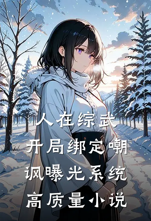 人在综武，开局绑定嘲讽曝光系统高质量小说