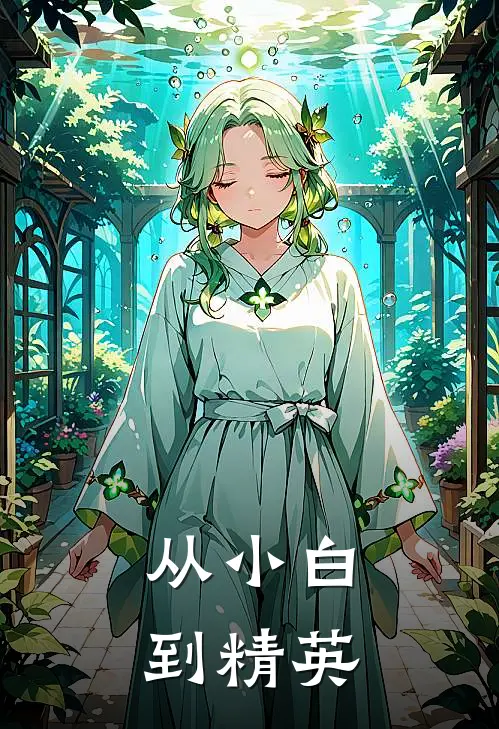 从小白到精英