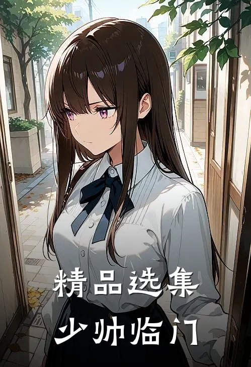 精品选集少帅临门