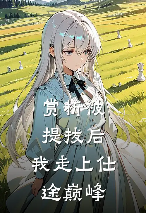 赏析被提拔后，我走上仕途巅峰