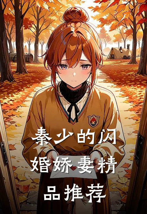 秦少的闪婚娇妻精品推荐