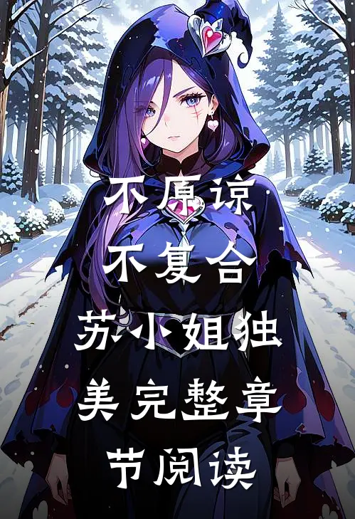 不原谅，不复合，苏小姐独美完整章节阅读
