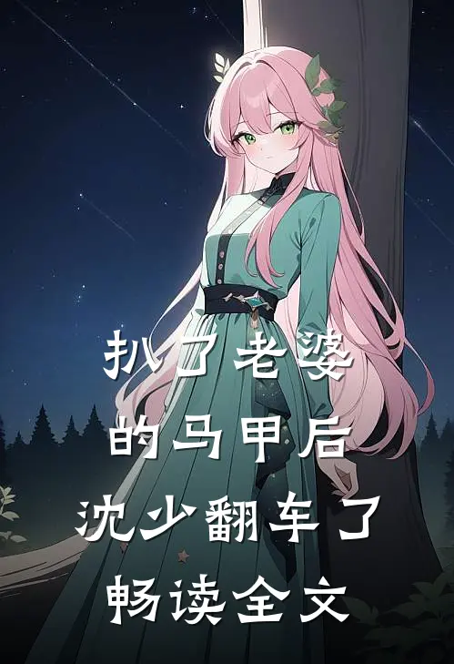 扒了老婆的马甲后，沈少翻车了畅读全文