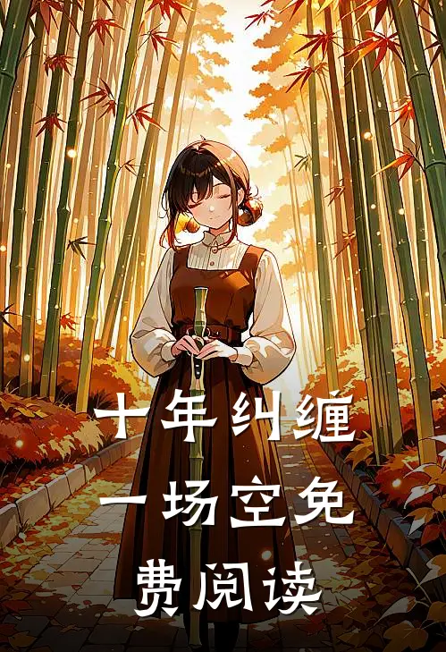十年纠缠一场空免费阅读