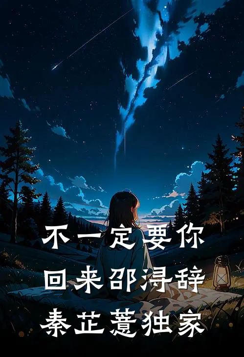 不一定要你回来(邵浔辞秦芷薏)独家