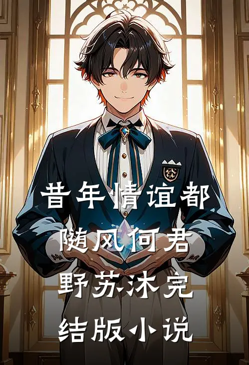 昔年情谊都随风何君野苏沐完结版小说