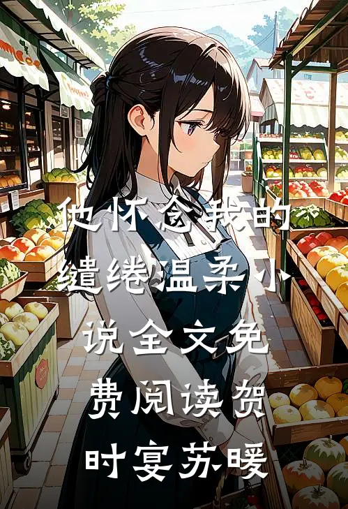 他怀念我的缱绻温柔小说全文免费阅读贺时宴苏暖
