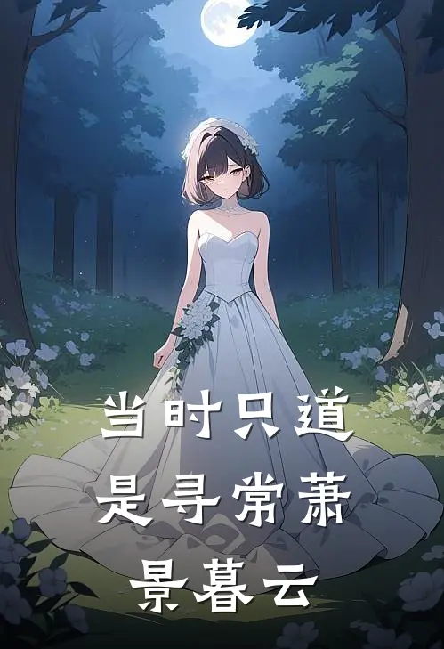 当时只道是寻常萧景暮云